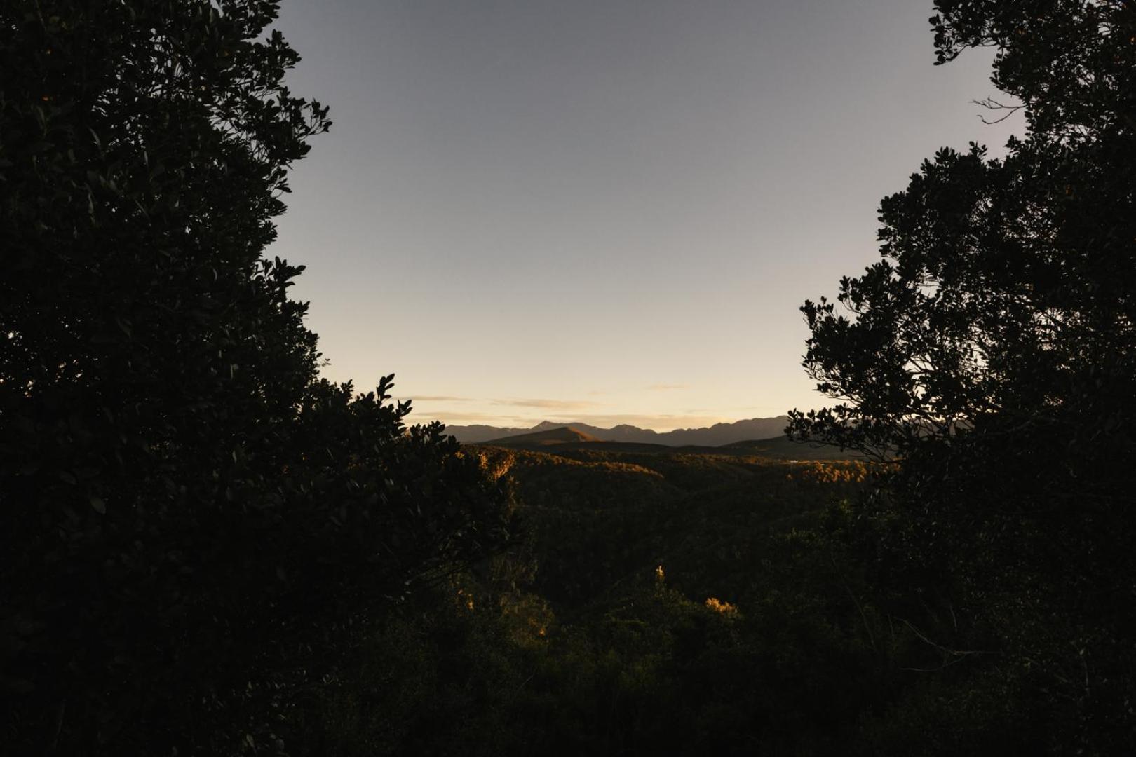 The Crags Moonshine On Whiskey Creekヴィラ エクステリア 写真