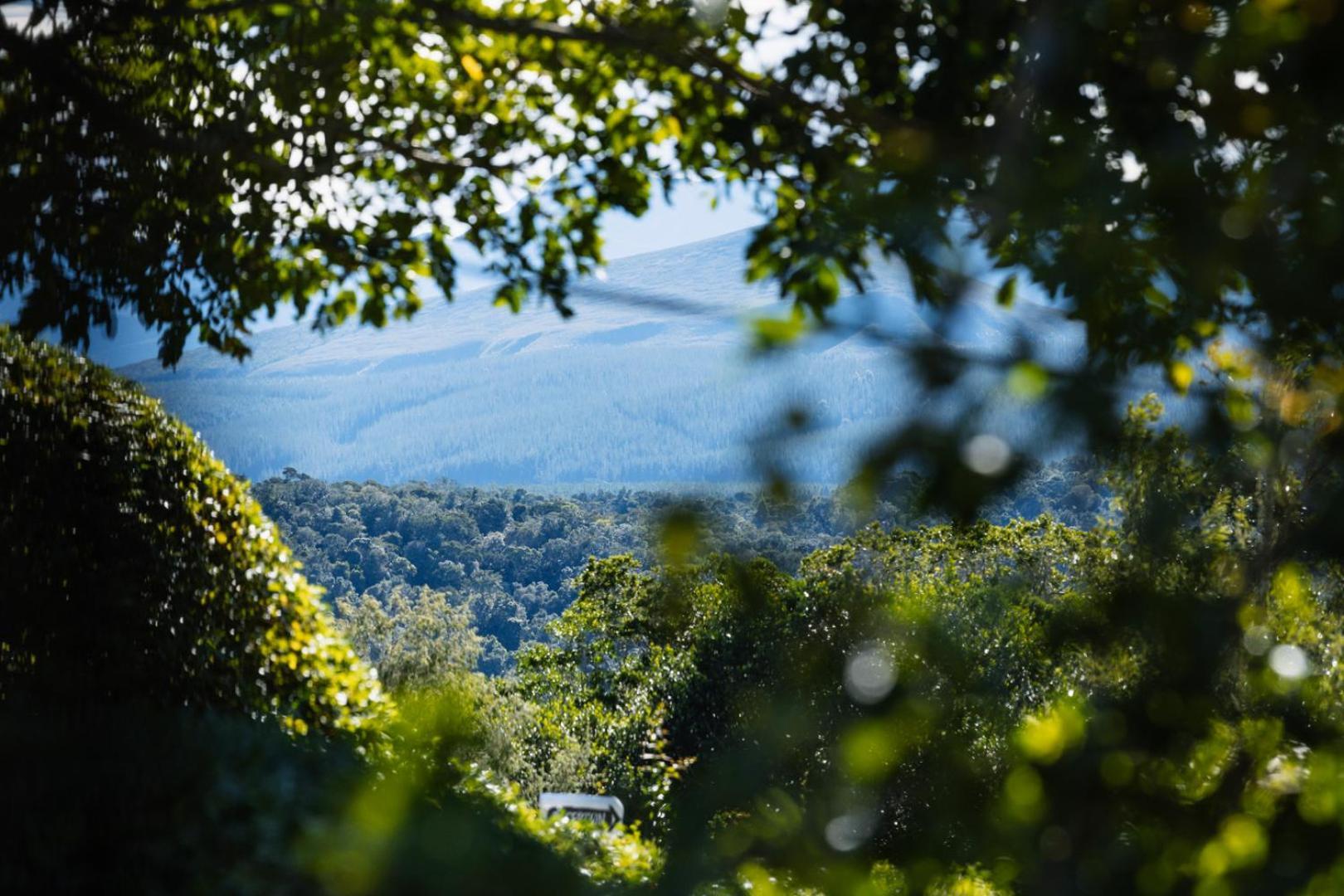 The Crags Moonshine On Whiskey Creekヴィラ エクステリア 写真