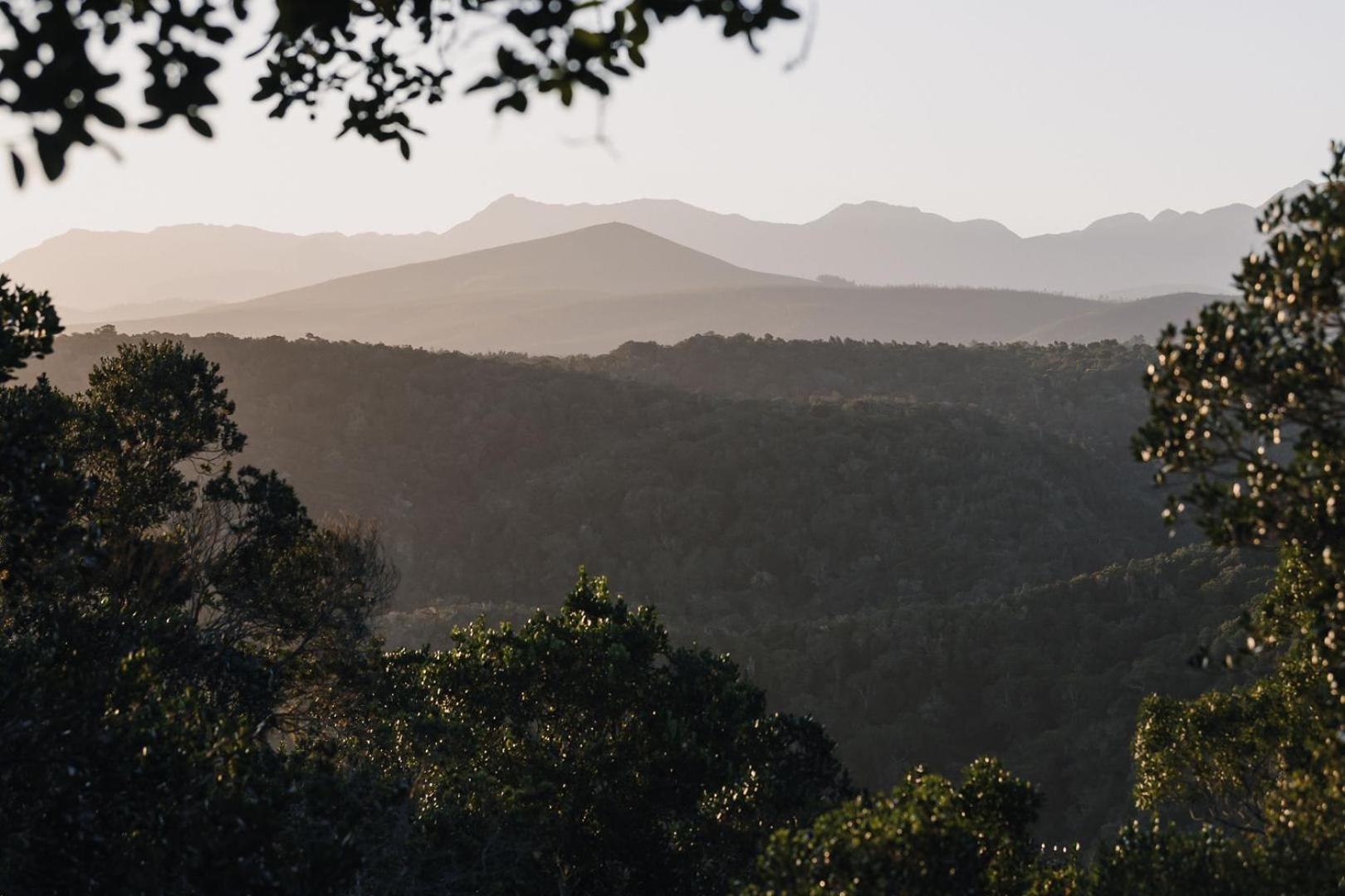 The Crags Moonshine On Whiskey Creekヴィラ エクステリア 写真