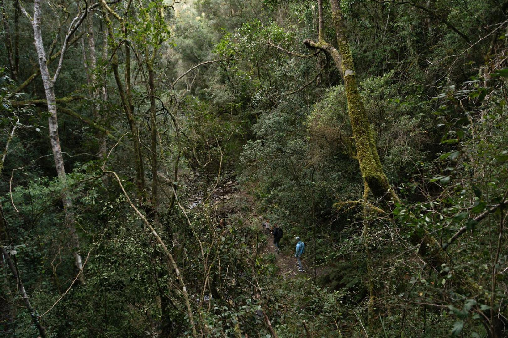 The Crags Moonshine On Whiskey Creekヴィラ エクステリア 写真